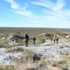 Hallaron fósiles de 485 millones de años en una campaña paleontológica en Limay Mahuida