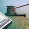 Pese a la cosecha récord, caen los dólares del campo en 2026