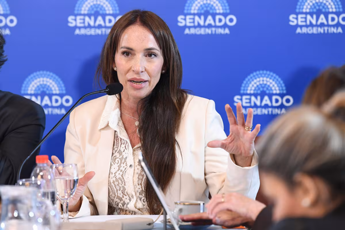 Crece la resistencia en el Senado al retiro del pliego de Michelli: la UCR anticipó su respaldo