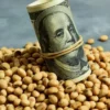 La Bolsa de Rosario prevé una menor liquidación de divisas del agro por la baja de los precios internacionales