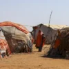 El hambre sigue golpeando al mundo: 645 millones de personas lo padecieron en 2025