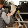Día Mundial de la Zoonosis: La Pampa refuerza la prevención con el enfoque «Una Salud»