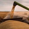 La actividad de la cadena agropecuaria creció 12% interanual en julio