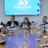 Medanito: detectaron 146 pozos abandonados y estiman un pasivo ambiental superior a US$22 millones