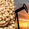 Soja y petróleo impulsaron las exportaciones argentinas en el primer semestre