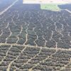 La Pampa ofrece créditos de hasta $200 millones para intervenciones en el bosque nativo