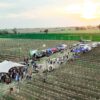 Trenel recibió la primavera entre viñedos y vinos pampeanos