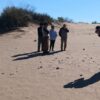 Hallaron restos fósiles de un posible megaterio en Árbol Solo