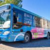 Boleto Estudiantil Gratuito: cómo viajar sin costo en los colectivos de Santa Rosa