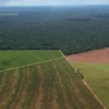 Ley de Tierras: la oposición evalúa llevar al recinto el rechazo total del DNU 70/23