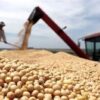 Advierten sobre los riesgos de una economía argentina cada vez más dependiente de los commodities