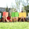 La Pampa realizará un Festival Provincial de Lectura en escuelas y bibliotecas populares