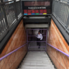 Paro sorpresivo de subtes en Buenos Aires: todas las líneas quedaron interrumpidas