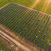 Energía solar en La Pampa: 15 empresas presentaron 48 proyectos de inversión por más de 180 megavatios