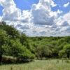 La Pampa busca frenar la extranjerización de tierras y proteger sus recursos naturales