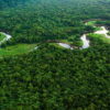 Brasil redujo sus emisiones contaminantes al nivel más bajo desde 2012