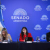 Salud Mental: el Senado avanza con una reforma que amplía las internaciones involuntarias